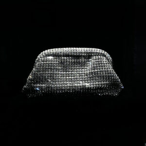 Luxe Silver Glow Clutch